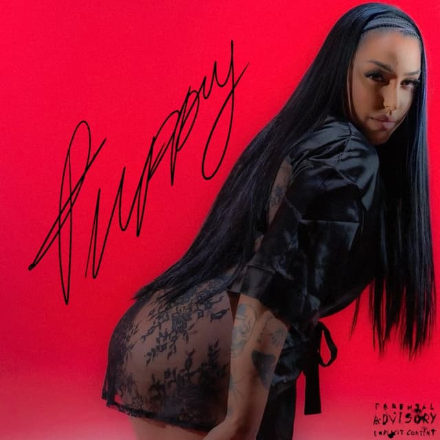Album cover art for Puppy