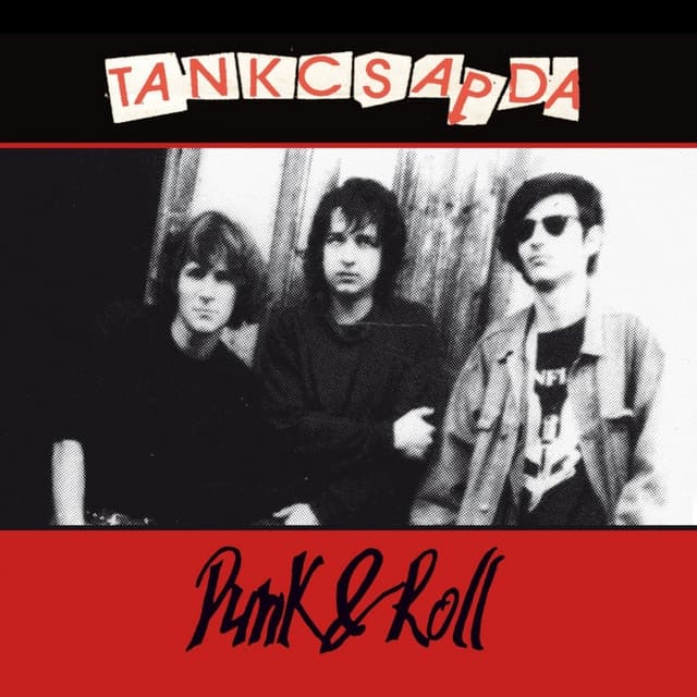 Album cover art for Punk & Roll