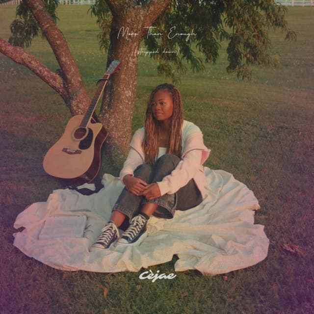 Album cover art for More Than Enough