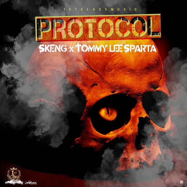 Album cover art for Protocol