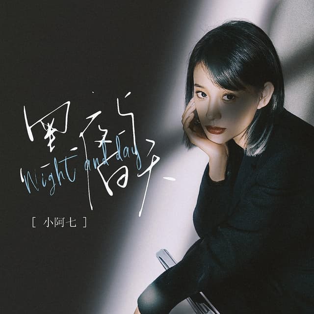 Album cover art for 黑夜与白天