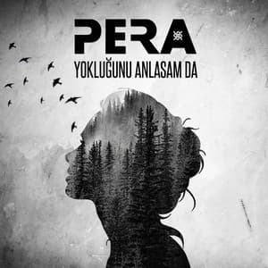 Album cover art for Yokluğunu Anlasam da