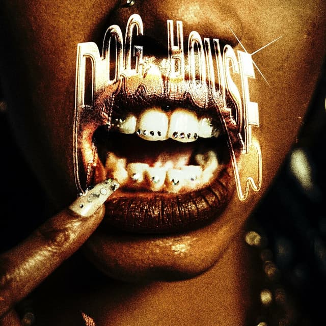 Album cover art for DOGHOUSE
