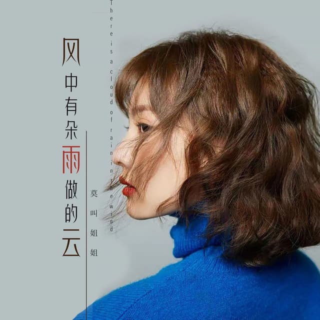 Album cover art for 风中有朵雨做的云