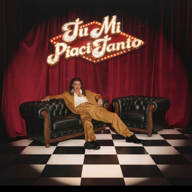 Album cover art for TU MI PIACI TANTO