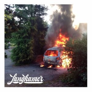 Album cover art for Langkamer