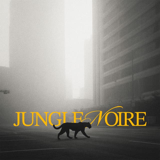 Album cover art for Jungle Noire