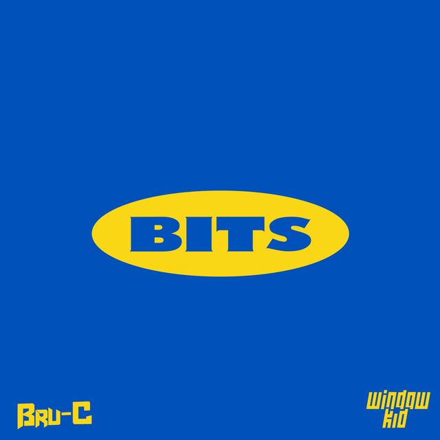 Album cover art for Bits