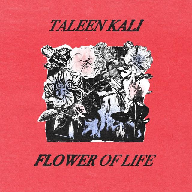 Album cover art for Flower of Life