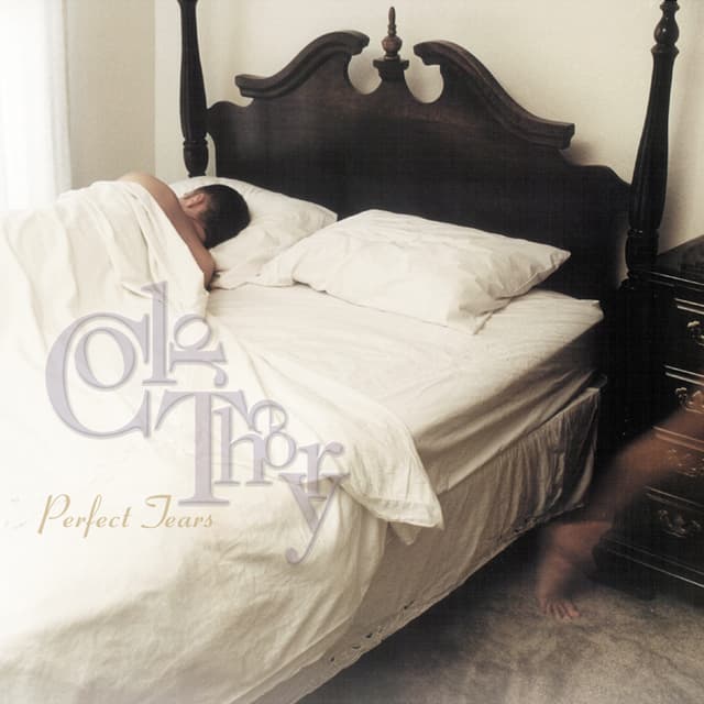 Album cover art for Perfect Tears