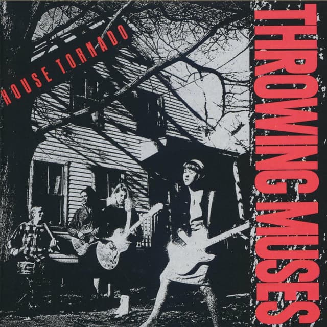 Album cover art for House Tornado