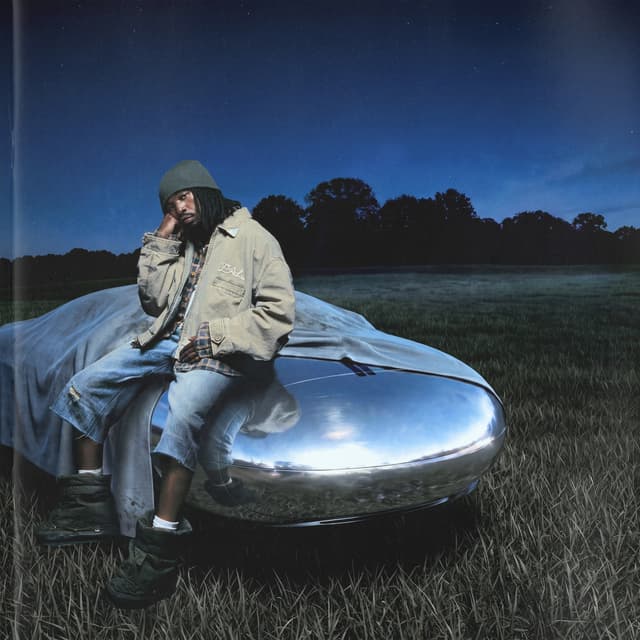 Album cover art for Platinum Fubu