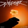 不簡單的歌 (Bu Jian Dan De Ge)