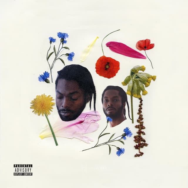 Album cover art for Bloom
