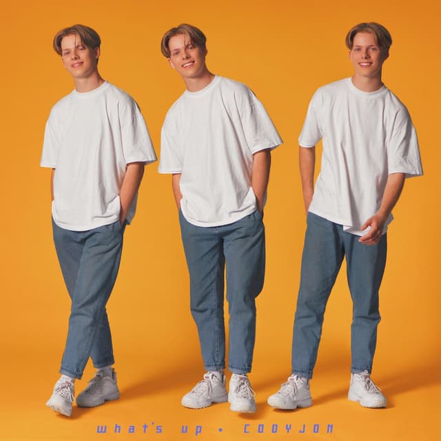Album cover art for what's up