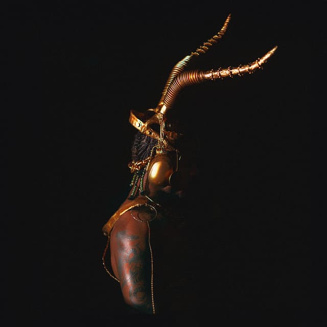 Album cover art for GAMMA