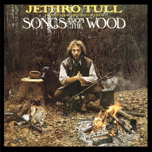 Album cover art for Songs from the Wood