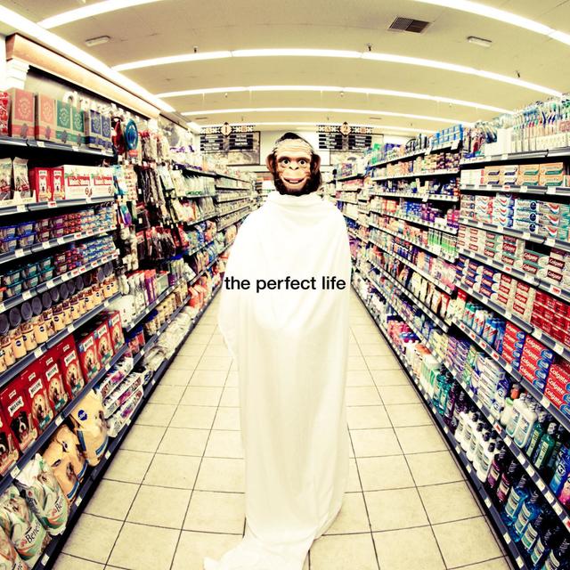 Album cover art for The Perfect Life (with Wayne Coyne)