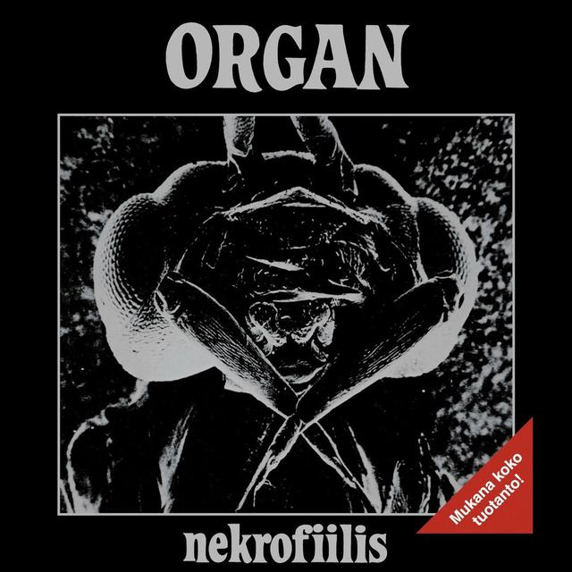 Album cover art for Nekrofiilis