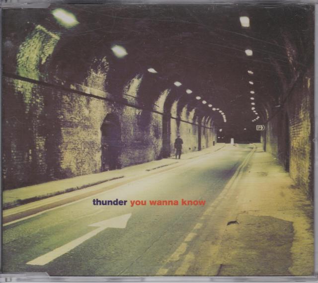 Album cover art for You Wanna Know