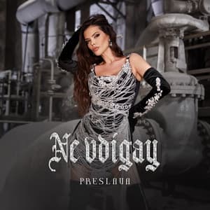 Album cover art for Ne vdigay