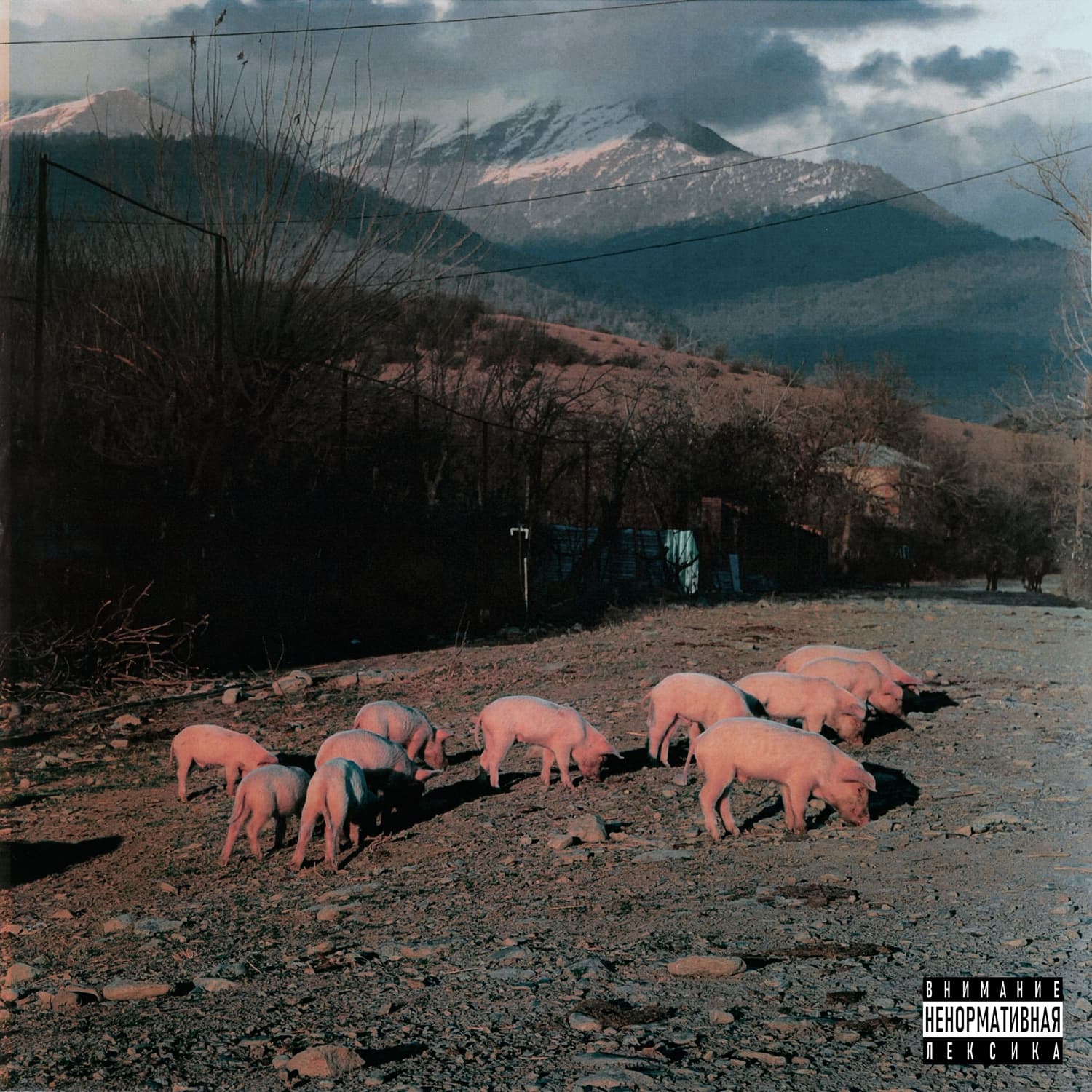 Lyric cover art