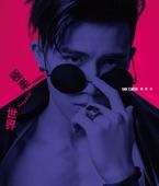 Album cover art for Music Paradise