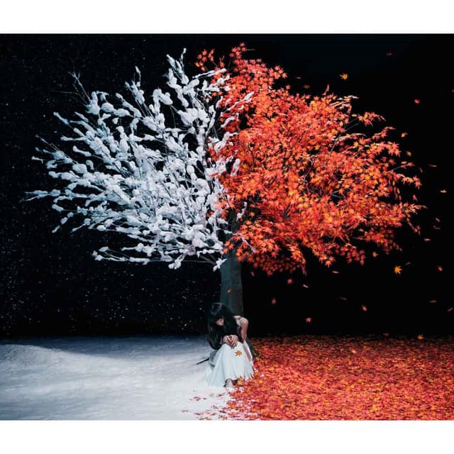 Album cover art for Akane Sasu Everlasting Snow