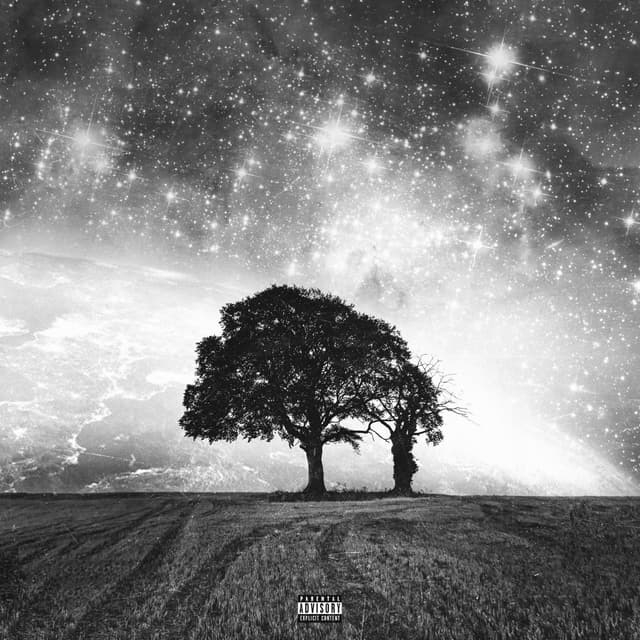 Album cover art for WHAT IS LOST IN THE STARS