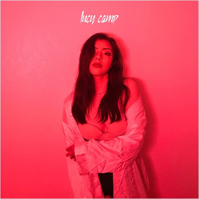 Album cover art for Disguise
