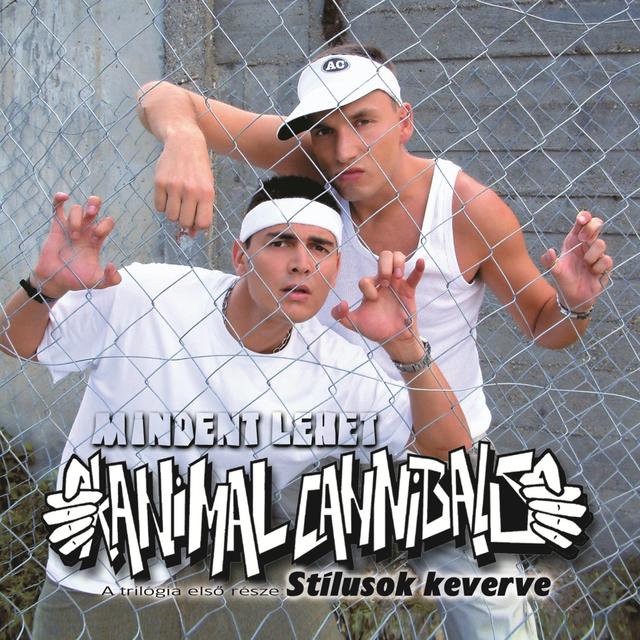 Album cover art for Mindent lehet - Stílusok keverve