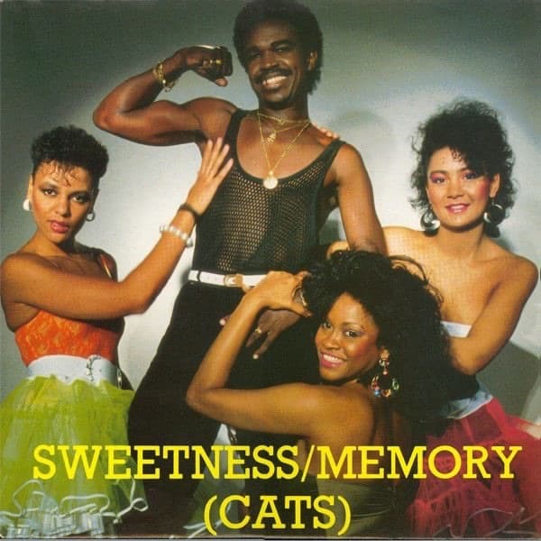 Album cover art for Memory (Cats)