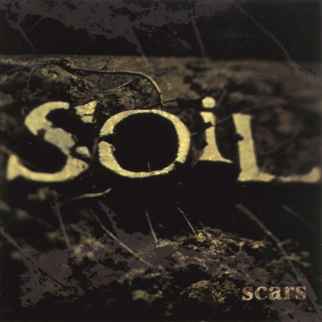 Album cover art for Scars