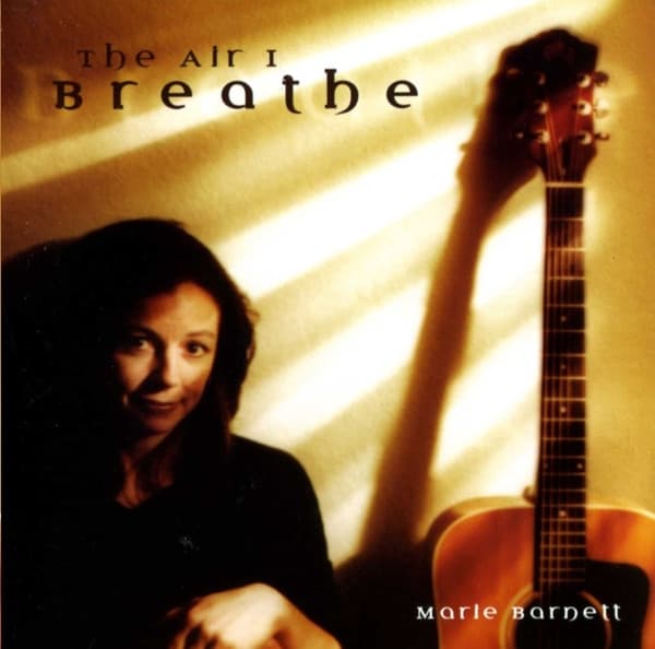 Album cover art for The Air I Breathe