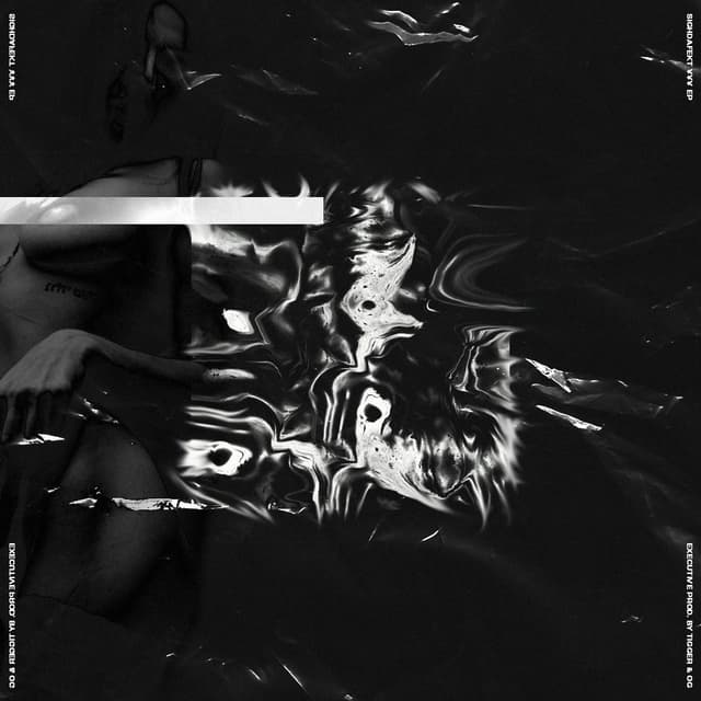 Album cover art for YYY
