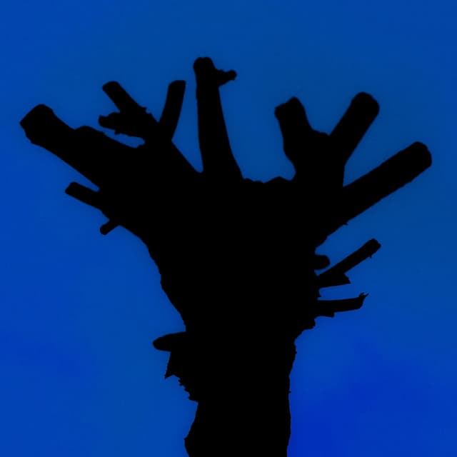 Album cover art for Even If It’s Late