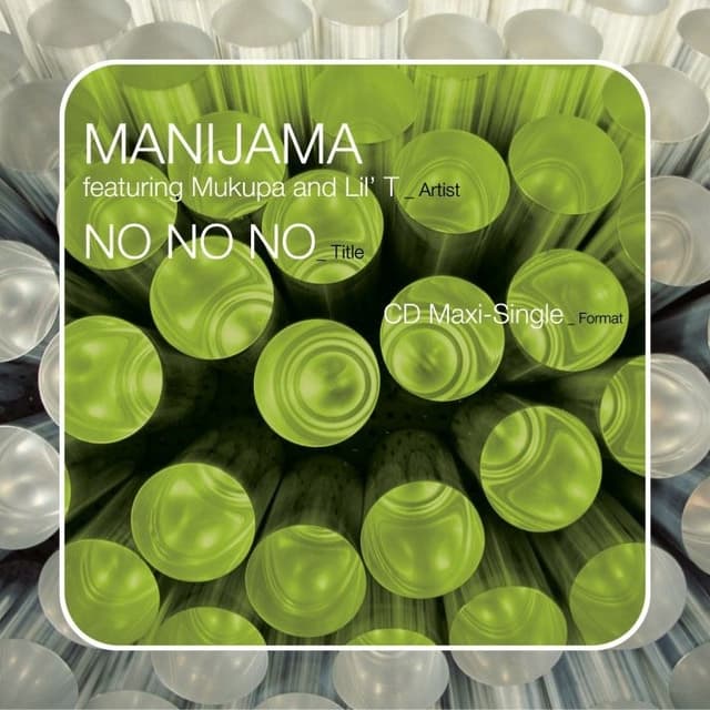 Album cover art for No No No