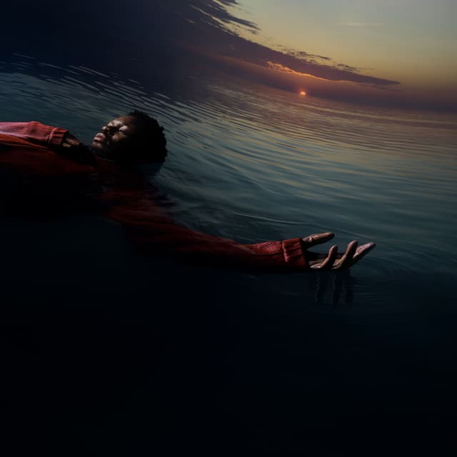 Album cover art for DIVE IN