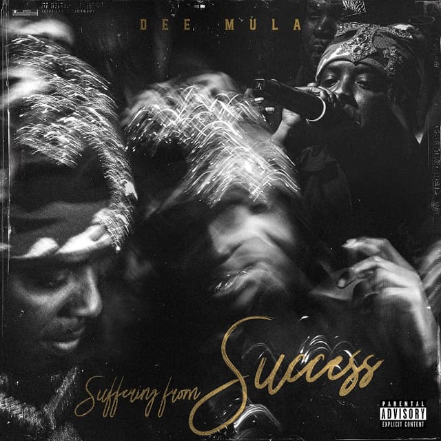 Album cover art for Suffering From Success