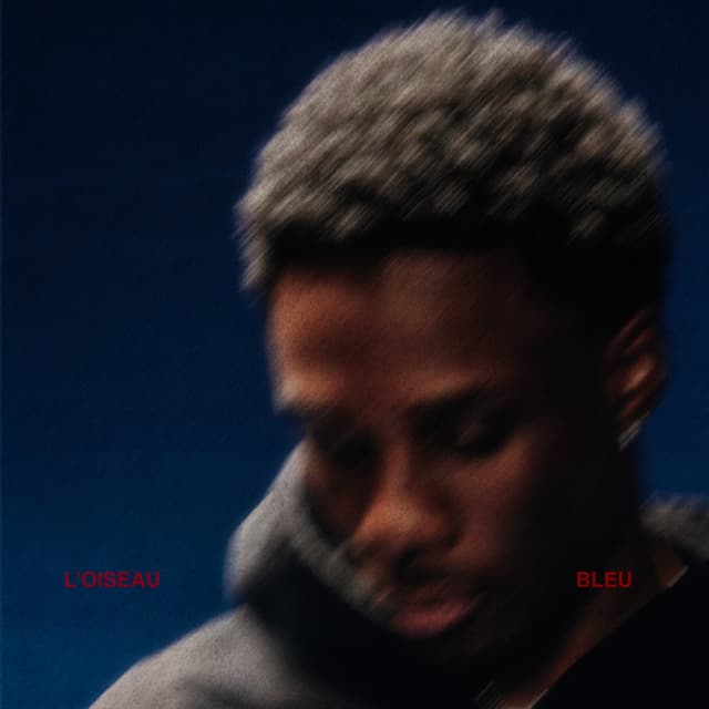 Album cover art for L'oiseau bleu
