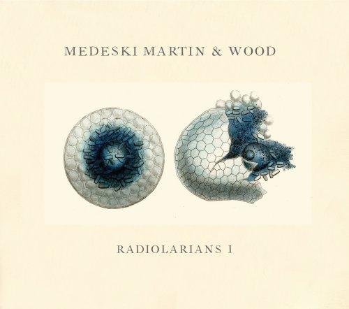 Radiolarians 1