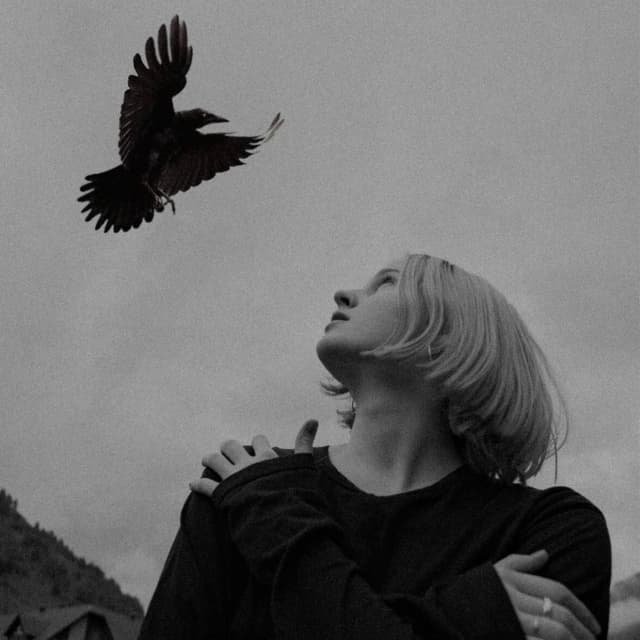 Album cover art for Птица