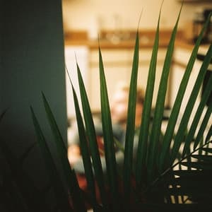 Album cover art for Compatible