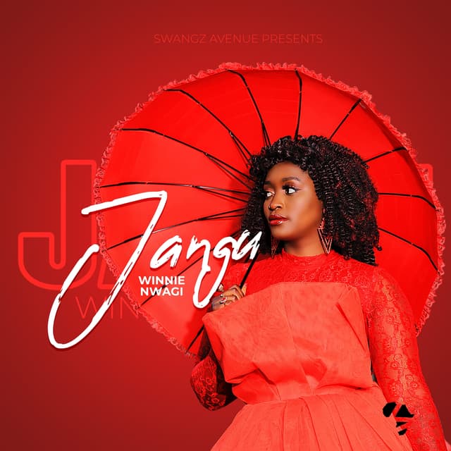 Album cover art for Jangu