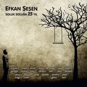 Album cover art for Soluk Soluğa 25 Yıl