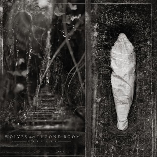 Album cover art for Estuary