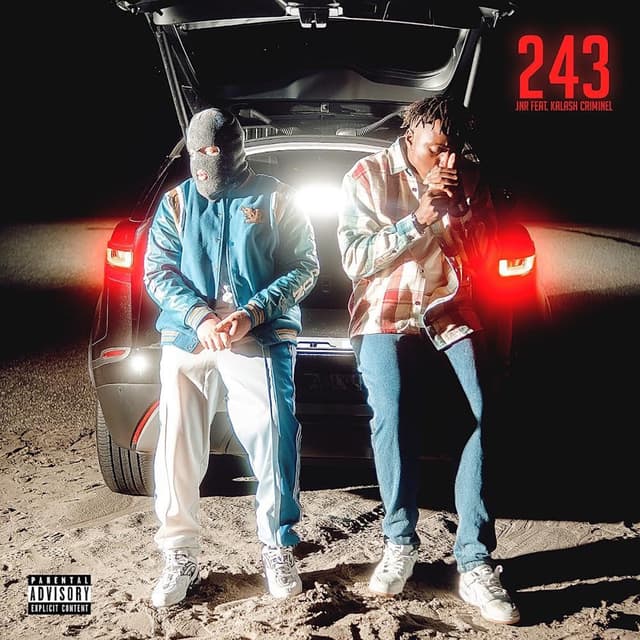 Album cover art for 243