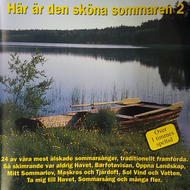Album cover art for Här är den sköna sommaren 2
