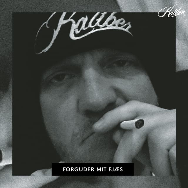 Album cover art for Forguder Mit Fjæs