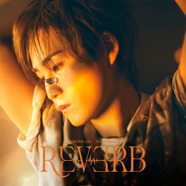 Album cover art for REVERB